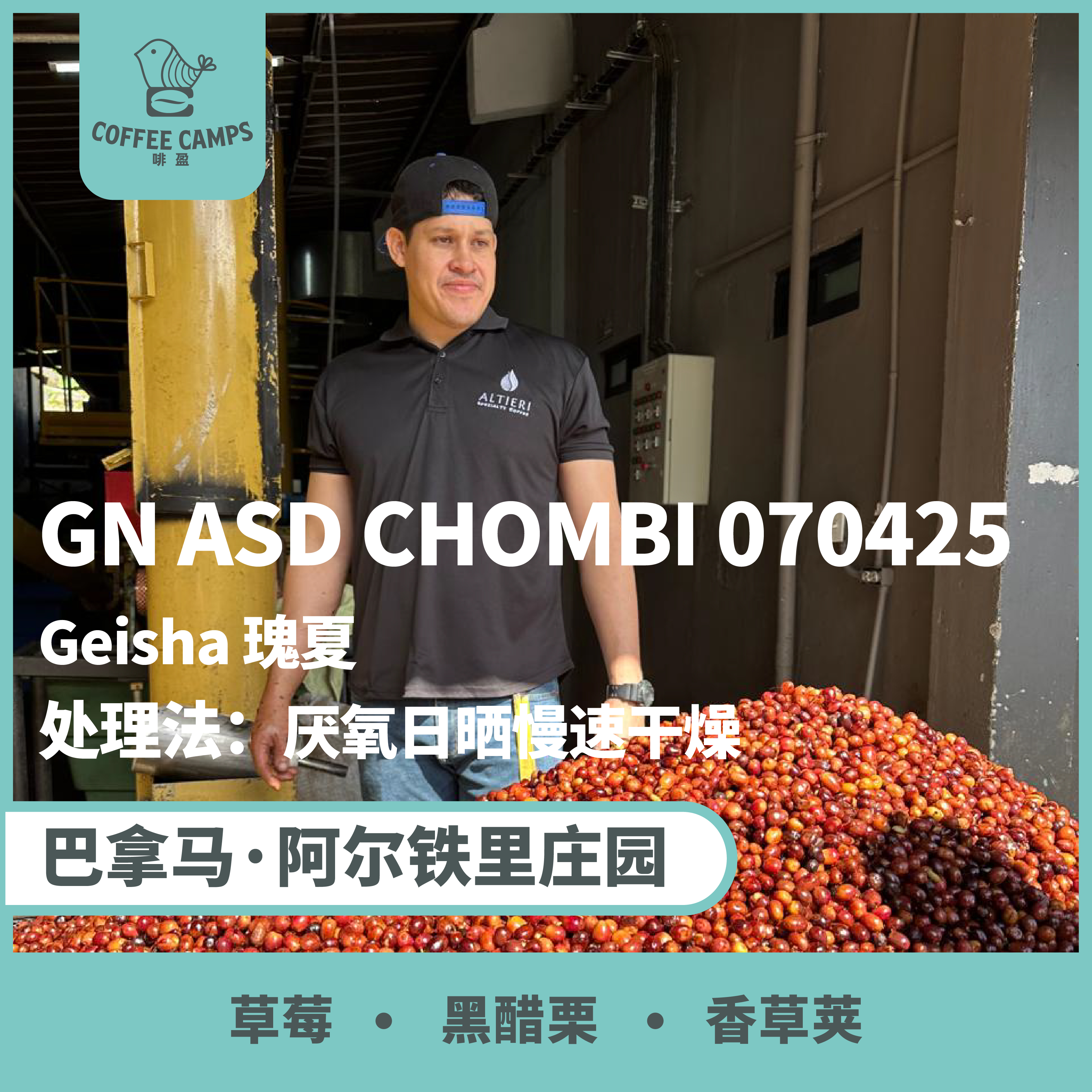 25产季 巴拿马 阿尔铁里 Altieri Specialty Coffee GN ASD CHOMBI 070425 瑰夏 厌氧日晒慢速干燥 （生豆）空运批次