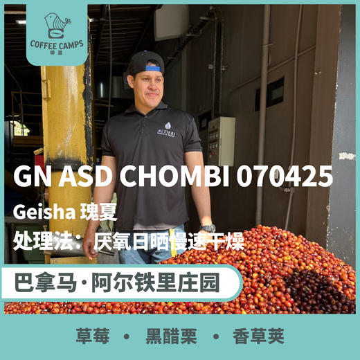 25产季 巴拿马 阿尔铁里 Altieri Specialty Coffee GN ASD CHOMBI 070425 瑰夏 厌氧日晒慢速干燥 （生豆）空运批次 商品图0