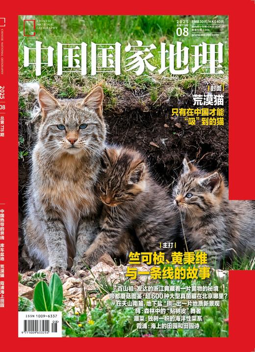 《中国国家地理》202508  荒漠猫  竺可桢 黄秉维 百山祖 帝都蘑菇图鉴 潮菜海洋菜系 霞浦海上田园 商品图3