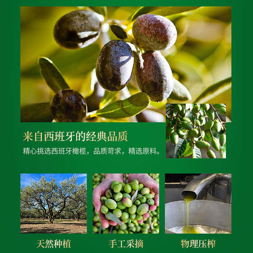 德丽芙 特级初榨橄榄油单瓶 商品图2