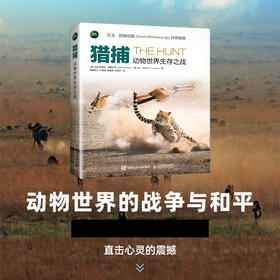 猎捕：动物世界生存之战 BBC同名纪录片书籍