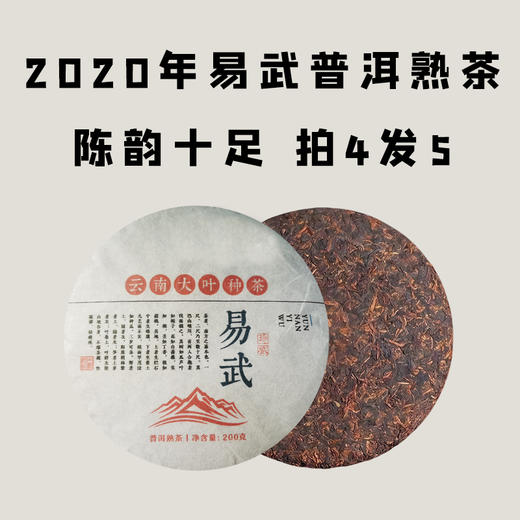 【会员日直播】拍4发5 易武普洱熟茶2020年200克 陈韵十足 春茶发酵 商品图0
