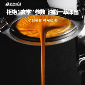 后谷 云南小粒咖啡豆 蓝山风味SOE 500g 阿拉比卡咖啡豆 中度烘焙 /水饮冲调 /咖啡 /咖啡豆/粉