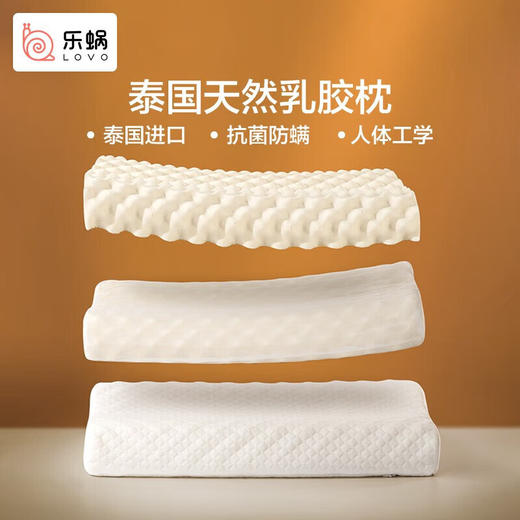 LOVO乐蜗XS 经典泰国乳胶按摩枕 36×60cm 商品图0
