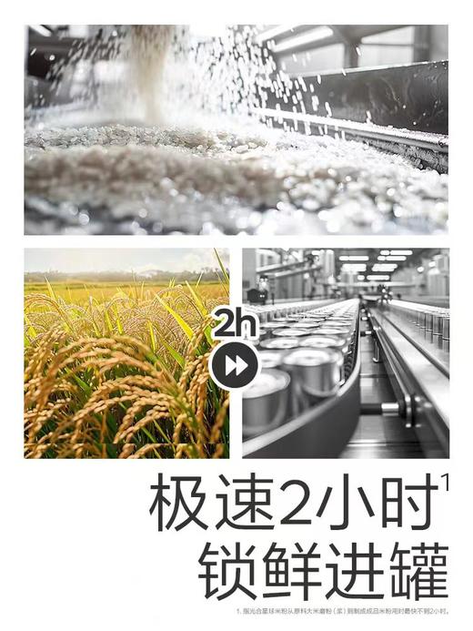 光合星球婴幼儿有机配方原味/草莓南瓜味/胡萝卜番茄牛肉味米粉235g/BBC-123146/124433/124440 商品图2