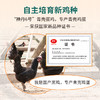 神丹20枚老年鸡蛋 商品缩略图2
