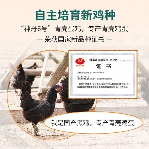神丹20枚老年鸡蛋 商品图2