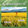 金龙鱼油粘米 南方大米 籼米 珍香小农粘20斤 /粮油调味 /米 /油粘米 商品缩略图2