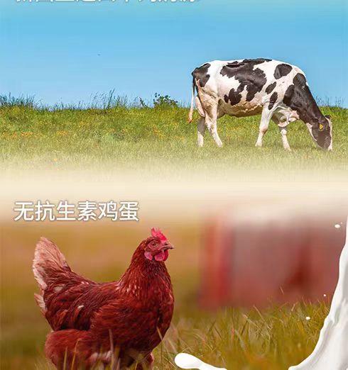 方广酸奶小小馒头草莓味、益生元、原味FAG-941305/FAG-941312/FAG-941329 商品图6