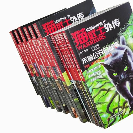 猫武士外传--长篇小说系列 商品图3
