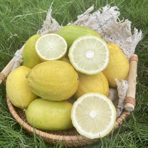【青黄柠檬双拼】口感清新酸爽 商品图3