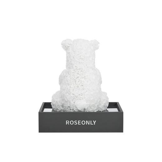 【新品爱礼】ROSEONLY诺誓 高端定制 永生玫瑰 公仔系列 玫瑰北极熊 送朋友 情人节礼物 商品图3