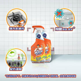 威猛先生（Mr Muscle） 油污清洁剂 455g+455g替换装 柑橘香 厨房重油污净 /家庭清洁/纸品 /家庭环境清洁 /油污清洁剂