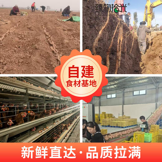 山药老式鲜蛋卷|添加26%鲜怀山药、25%鲜鸡蛋，酥脆蓬松香喷喷 商品图3