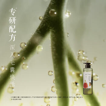 髮の食谱发之食谱无花果洗发水蓬松控油530g去屑洗发露男士金榜京东自营 /个人护理 /洗发护发 /洗发水 商品图7