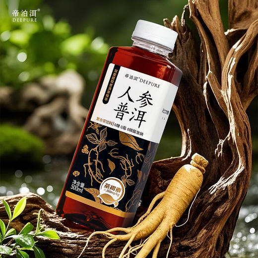 帝泊洱普洱茶饮（人参、茉莉、糯香、陈皮）500ML四口味自选0糖茶饮 商品图3