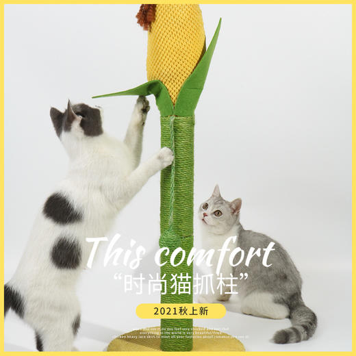 玉米剑麻猫抓板宠物用品磨爪小型宠物猫爬架猫咪玩具宠物用品新款新品 商品图0