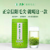 文新绿茶2026新茶预售放心好茶信阳毛尖一级200g雨前罐装 /水饮冲调 /茗茶 /绿茶 商品缩略图2