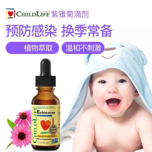 【保税】美国 童年life（Childlife）紫锥菊滴剂 29.6ml/30ml随机发货 商品图0