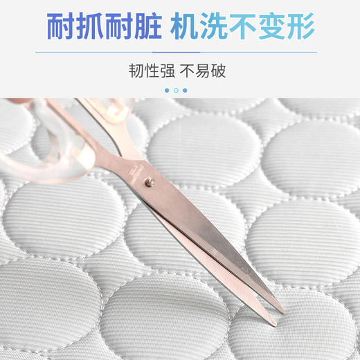 宠物用品夏季冰丝垫猫狗窝超大狗狗四季通用地垫猫咪宠物冰垫冰窝 商品图2