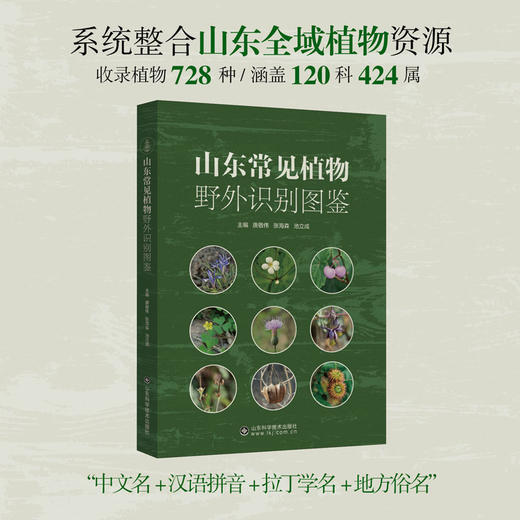 山东常见植物野外识别图鉴 商品图0