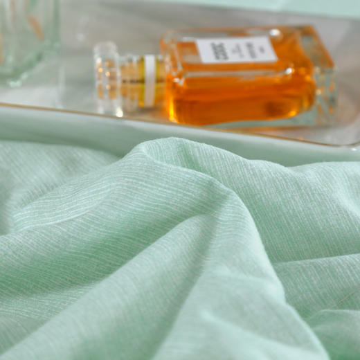 【多样屋专柜】雅鹿艾草驱蚊抗菌被150*200cm 商品图4