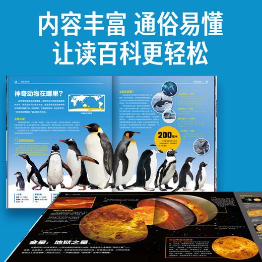 中国少儿百科知识全书1-4辑全40册精装典藏版 商品图5