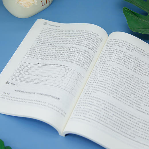 商务智能与数据分析 商品图2