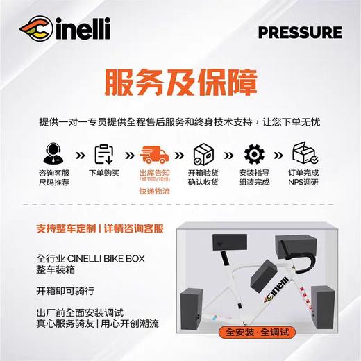 CINELLI西耐力Pressure[限定涂鸦白]破风竞赛骑行超轻全碳车架 商品图4
