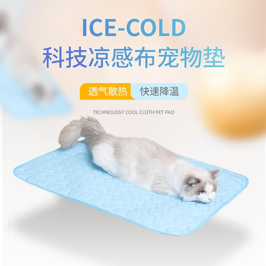 宠物用品夏季冰丝垫猫狗窝超大狗狗四季通用地垫猫咪宠物冰垫冰窝 商品图0