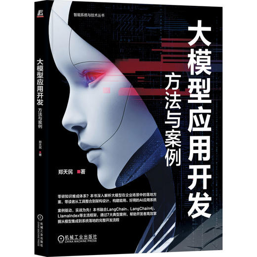 大模型应用开发：方法与案例 商品图0