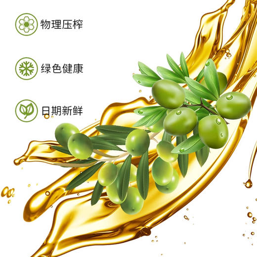 德丽芙 橄榄清香食用植物调和油单瓶 商品图2