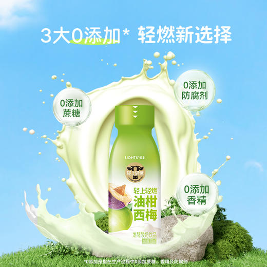 轻上 油柑西梅酸奶常温发酵酸奶饮品220ml*10瓶 0添加蔗糖  富含多重营养 48小时发货 商品图3