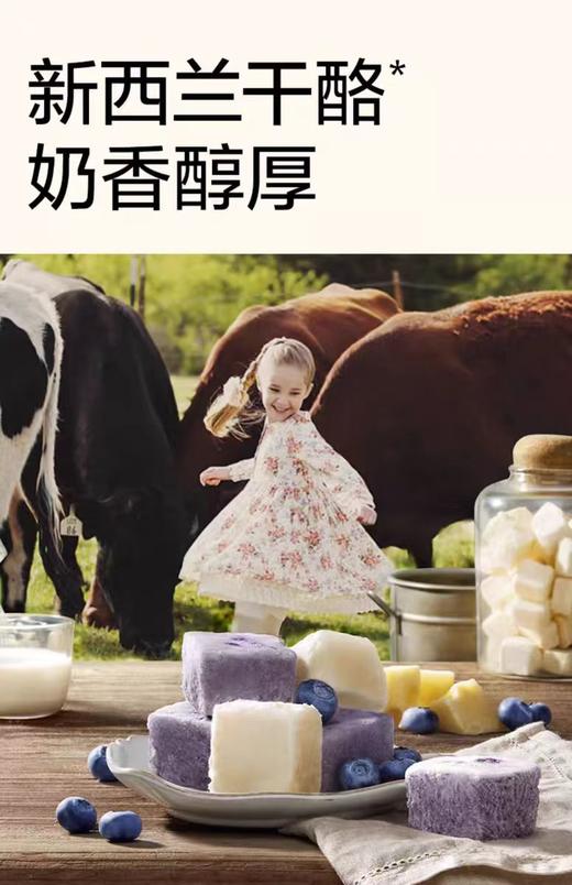 光合星球侏罗纪队长高钙冻干奶酪块（原味）/（蓝莓味）/BBC-444879/401879 商品图1