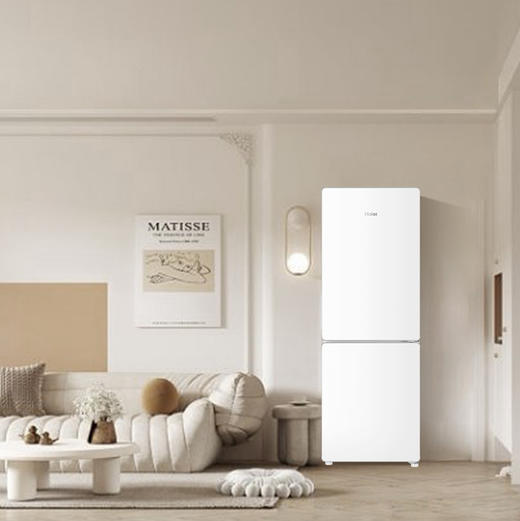 海尔（Haier）冰箱 BCD-170WLHC2Z0WV 商品图9