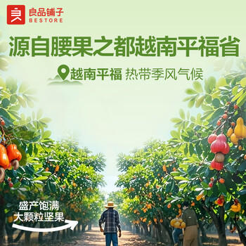 良品铺子炭烧腰果每日坚果零食干果炒货腰果仁小吃120g休闲零食小吃 /休闲食品 /坚果炒货 /开心果 商品图3