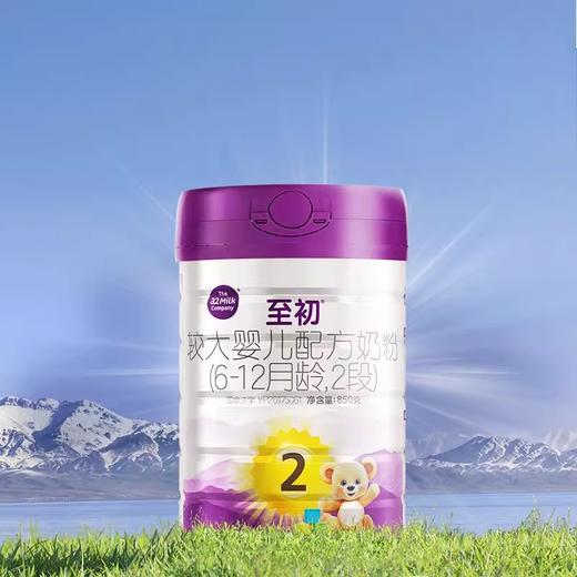 a2至初2段较大婴儿配方进口奶粉(6-12月龄)大罐850g 商品图2