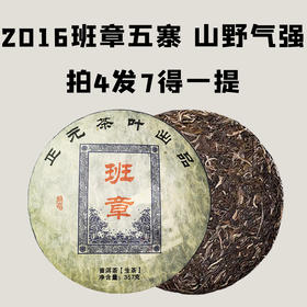 【会员日直播】拍4发7 班章五寨生茶2016年357克 山野气强生津快速
