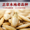 老闫家 毛边南瓜子盐焗500克 小粒香南瓜籽坚果炒货休闲零食品 1斤/袋 /休闲食品 /坚果炒货 /南瓜子 商品缩略图1