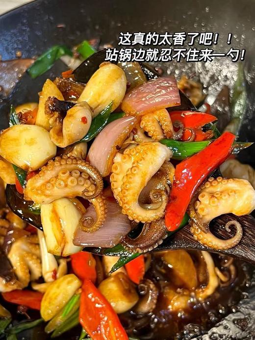 xm处理好的新鲜小章鱼，收到清洗即可烹饪-超热卖！！新鲜看得见 现捕现发，白灼、红烧、烧烤 是成就你一桌好菜的万能选手 商品图5