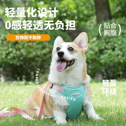 夏季新款狗狗牵引绳马卡龙双拼撞色宠物胸背带可调节背心式遛狗绳 商品图0