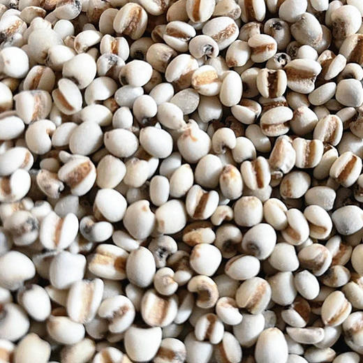 新米浦城官路山薏米五谷杂粮苡仁国家地理标志农家薏米 商品图1