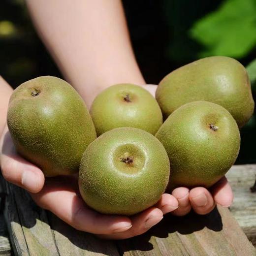 中秋好礼！【甜过初恋，红心猕猴桃~】四川蒲江红心猕猴桃礼盒装 新鲜当季水果奇异果 应季弥猴桃非绿心  员工福利 5斤包邮-QB 商品图3