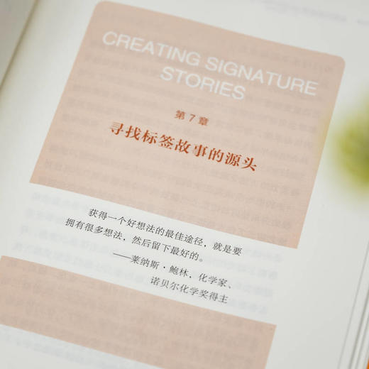 品牌标签故事:用故事打造企业竞争力(典藏版) 商品图4