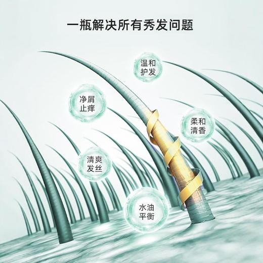 Lion 狮王 功效止痒去屑洗发水 320ml 商品图1