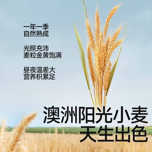 【⚡19.9秒杀】软白低筋营养面粉/绵韧营养中筋粉1kg，叠加店铺满赠，不叠加店铺满减和会员折扣 商品图3