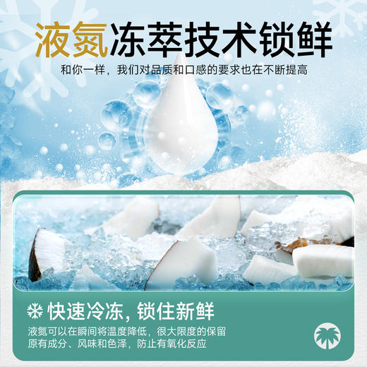 【南国食品】液氮冷萃纯椰子粉200g 商品图2
