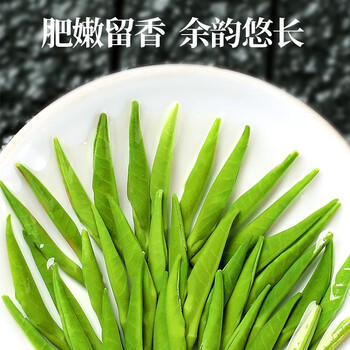 天旭茶叶绿茶雀舌特级四川毛尖2026新茶春茶明前嫩芽高山云雾茶250g /水饮冲调 /茗茶 /绿茶 商品图1