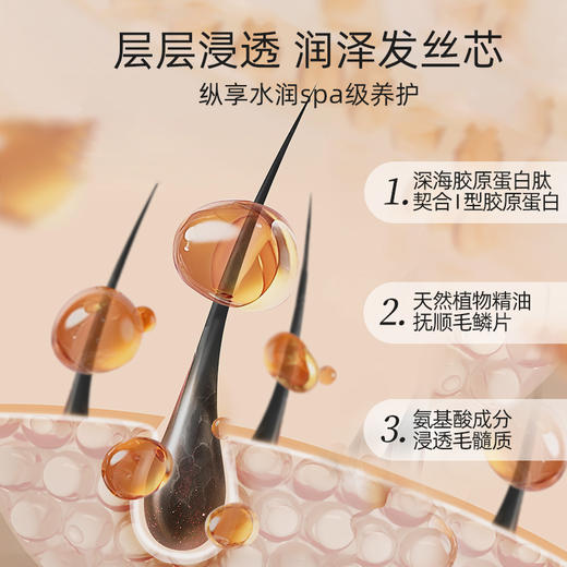 澳洲原装进口 布伦森每日丝滑系列旅行3件套 商品图3