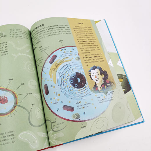 【奇想国】写给孩子的极简科学史：引人入胜、大开眼界的科学简史，6大学科知识互联，6大阶段综合认知。 商品图2
